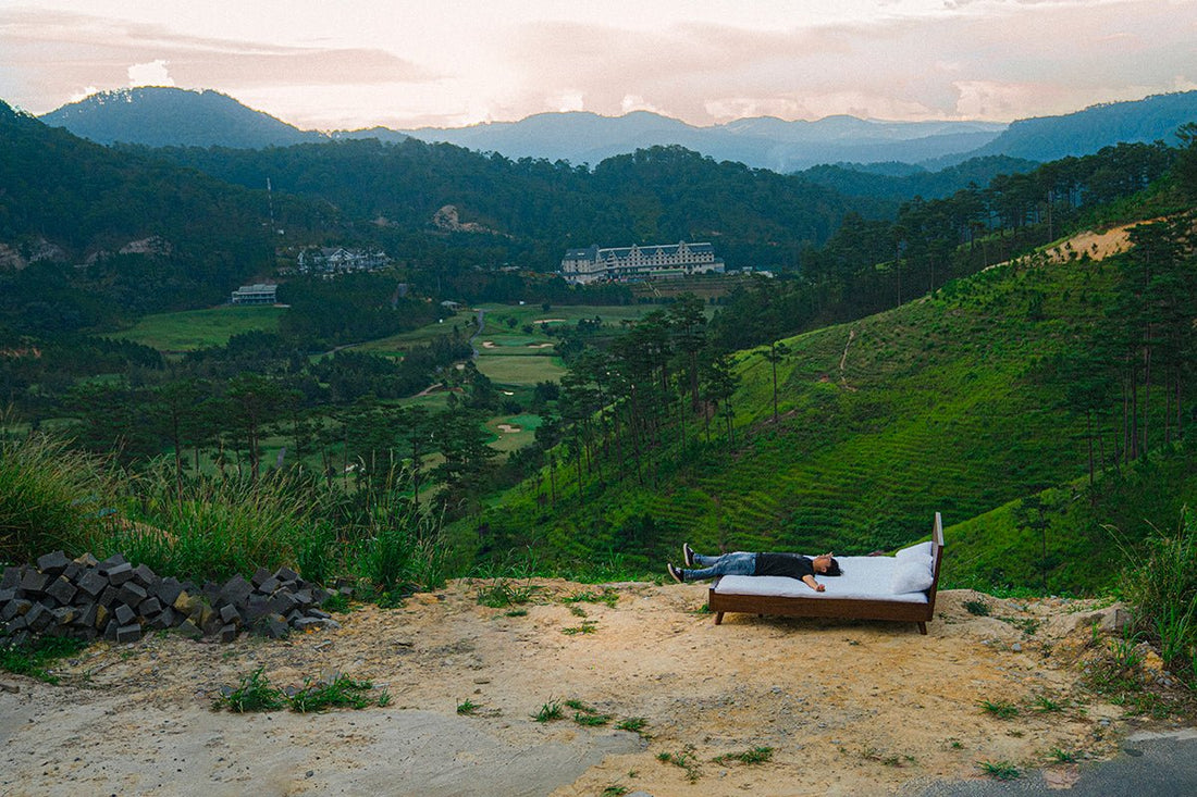 Embracing Eco-friendly Elegance: Budget-Friendly Strategies for a Sustainable Home